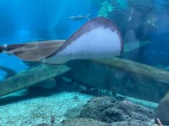 -福州罗源湾海洋世界旅游区