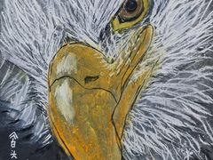 -甲乙果 美术书法(通州校区)