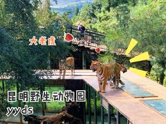-云南野生动物园