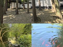 -汇龙潭