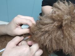 -关爱动物医院·心脏·中兽医·异宠(金牛路分院)