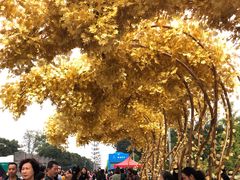 -重庆市江北嘴中央商务区中央公园