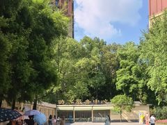 -成都动物园