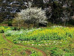 -鹿院坪生态旅游景区