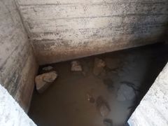 -上海滨江森林公园