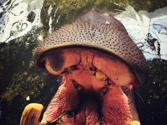 -哈尔滨北方森林动物园