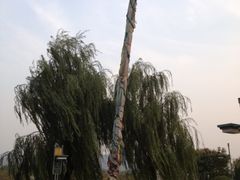 -济南国际园博园