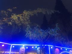 -醉二娘正宗西昌火盆烧烤(大丰店)