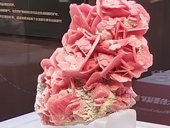 -湖南省地质博物馆