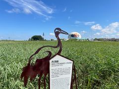 -黑龙江扎龙生态旅游区