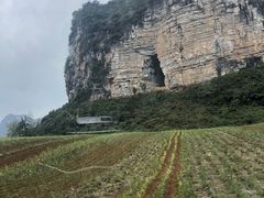 -明仕田园