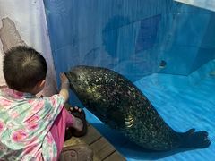 -左海海底世界