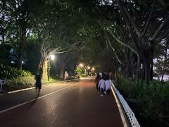 -南宁南湖公园
