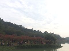 -南国桃园旅游度假区