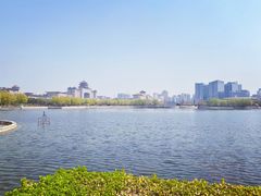-莲花池公园