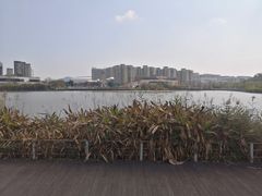 -飞凤山奥体公园