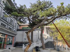 -妙峰山风景名胜区