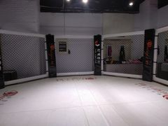 -成杰格斗·拳击·柔术·防身术(建设路店)