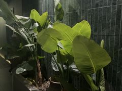 -涟LIAN·泰式按摩·MASSAGE·SPA(华强北店)