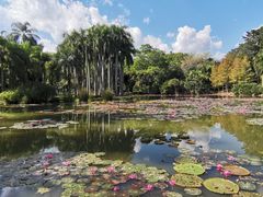 -中国科学院西双版纳热带植物园