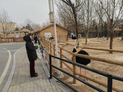 -大连森林动物园