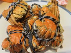 -杨氏青龙虾·羊蝎子(珠江路店)