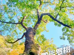 -潭柘寺景区