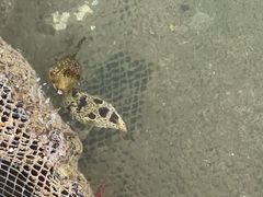 -蓝湾碧波·老字号·疍家非遗海上餐厅