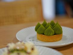 抹茶挞-猫里有甜