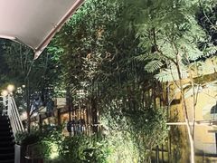 -芸鲜季·云南野生菌餐厅· 云南风物味研社(闵行店)