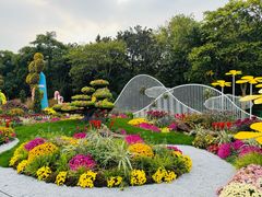 -上海共青森林公园