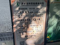 -西双版纳原始森林公园
