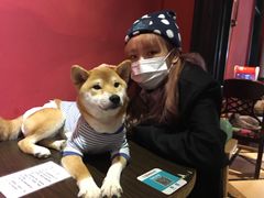 -猫色咖啡·猫咖