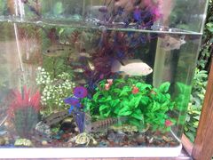 -厦门日月谷温泉渡假村