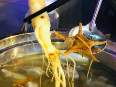 -千岛蚝高压锅生蚝·人参火锅(白云万达店)