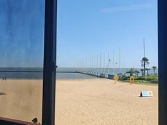 -碧海金沙