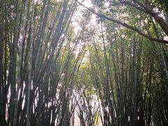 -望江楼公园