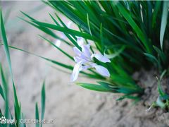 -天津现代职业技术学院