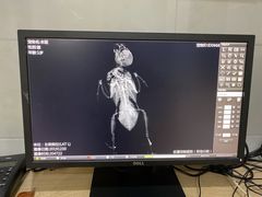 -瑞派名望24h动物医院异宠专科·猫专科·骨科·重症监护分院