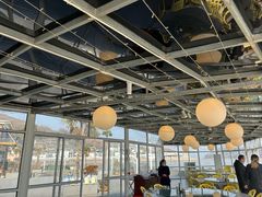 -胖大嫂渔家排档·全海景餐厅(渔村店)