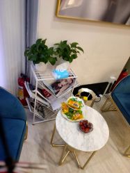 -DEM缔怡美科技美容