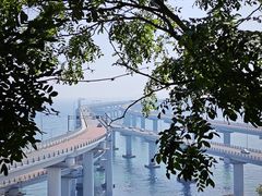 -星海湾跨海大桥