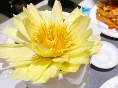 -甄御•海鲜新青岛菜(麦岛店)