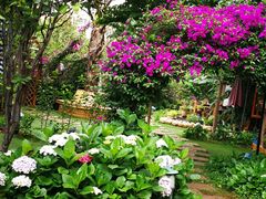 花园里-月亮眼花园餐厅书吧酒吧