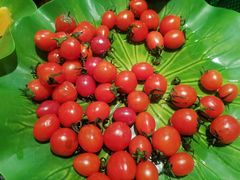 -星伦多自助料理·涮烤一体(江桥万达店)