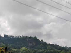 -南山植物园