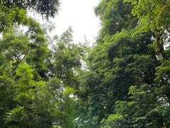 -成都杜甫草堂博物馆
