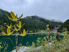 -武陵山森林公园