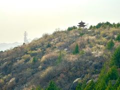 -白水寺森林公园