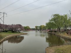 -石家庄市植物园